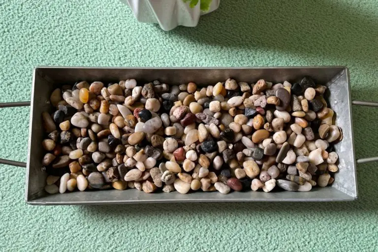 How to Make a Humidity Tray for Houseplants
