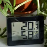 How to Increase Humidity for Plants without Humidifier
